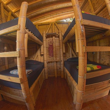 La Perla Negra - Black Pearl Eco Hostel San Rafael  Dış mekan fotoğraf