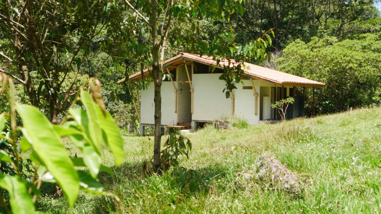La Perla Negra - Black Pearl Eco Hostel San Rafael  Dış mekan fotoğraf
