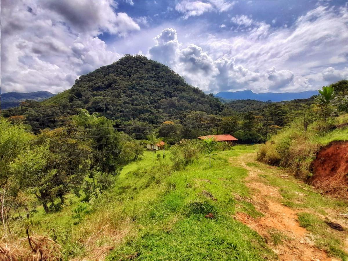La Perla Negra - Black Pearl Eco Hostel San Rafael  Dış mekan fotoğraf