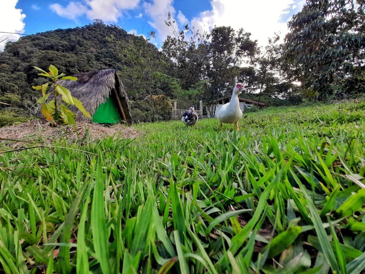 La Perla Negra - Black Pearl Eco Hostel San Rafael  Dış mekan fotoğraf