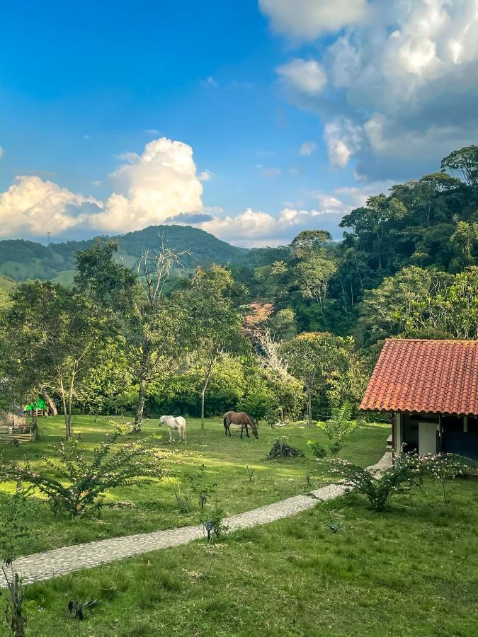 La Perla Negra - Black Pearl Eco Hostel San Rafael  Dış mekan fotoğraf