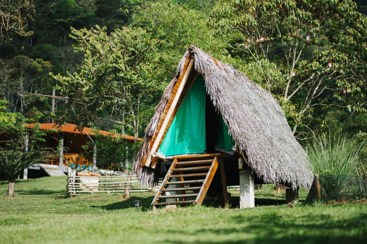 La Perla Negra - Black Pearl Eco Hostel San Rafael  Dış mekan fotoğraf