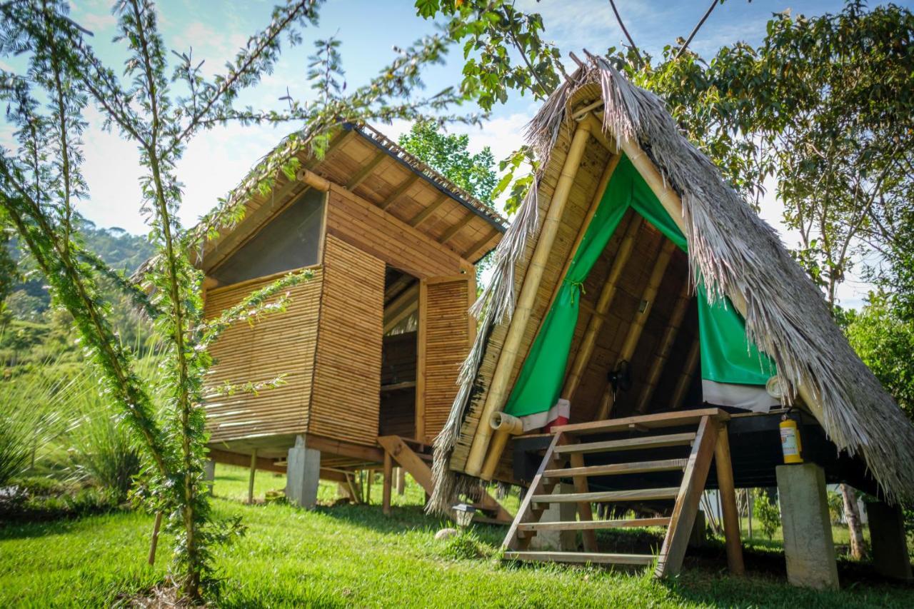 La Perla Negra - Black Pearl Eco Hostel San Rafael  Dış mekan fotoğraf
