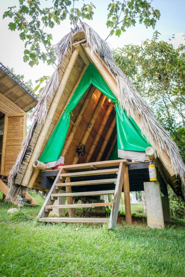 La Perla Negra - Black Pearl Eco Hostel San Rafael  Dış mekan fotoğraf