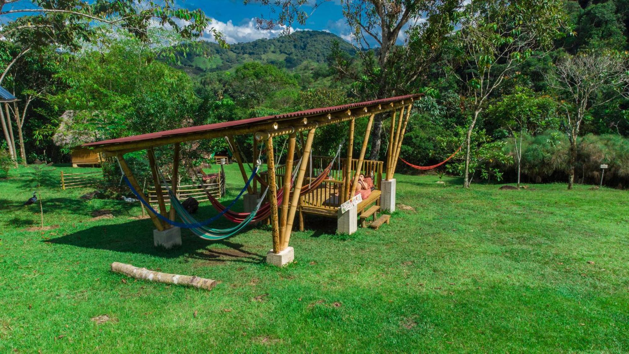 La Perla Negra - Black Pearl Eco Hostel San Rafael  Dış mekan fotoğraf