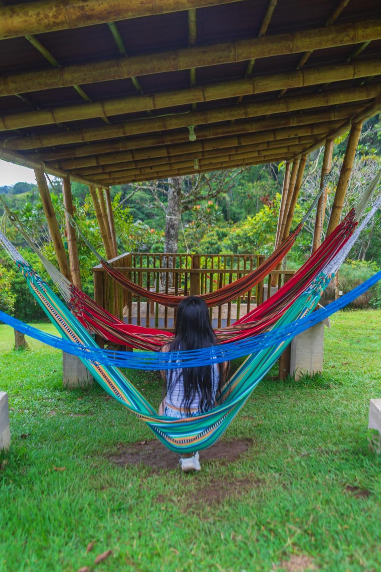 La Perla Negra - Black Pearl Eco Hostel San Rafael  Dış mekan fotoğraf