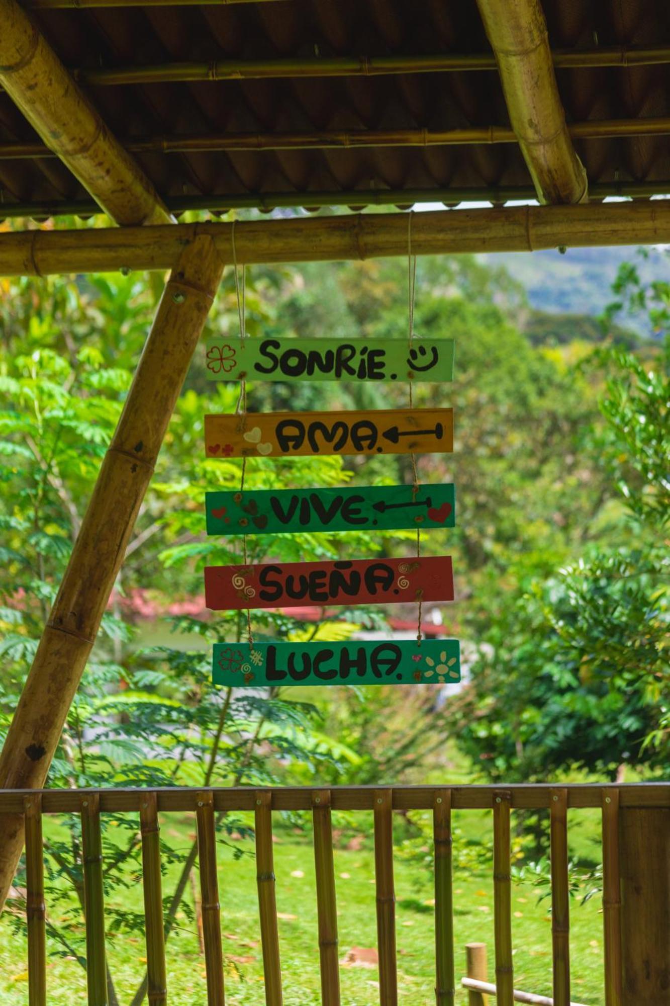 La Perla Negra - Black Pearl Eco Hostel San Rafael  Dış mekan fotoğraf